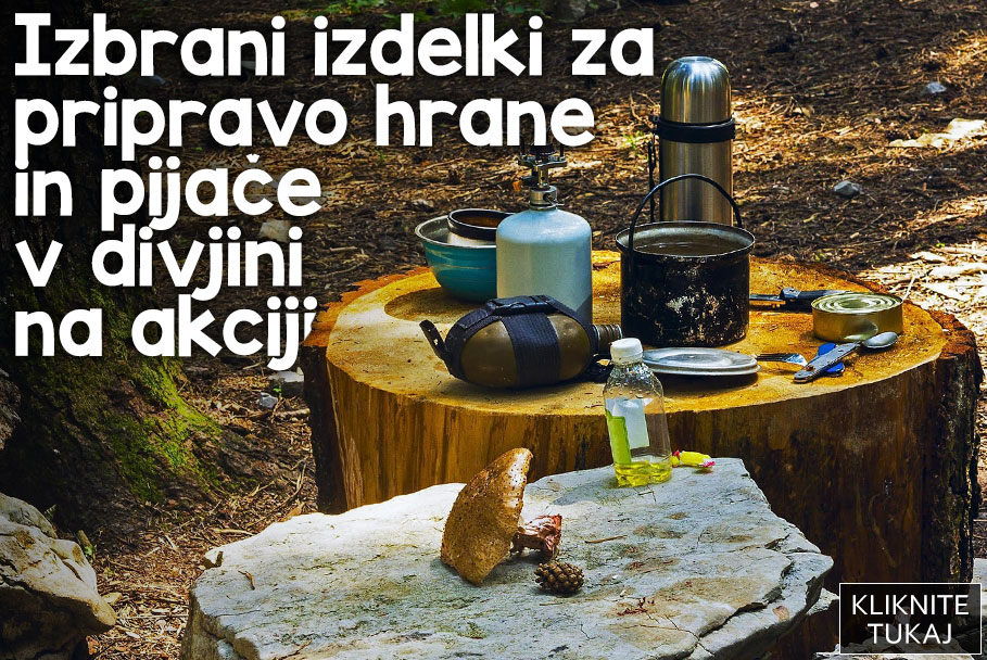 Glavna akcija